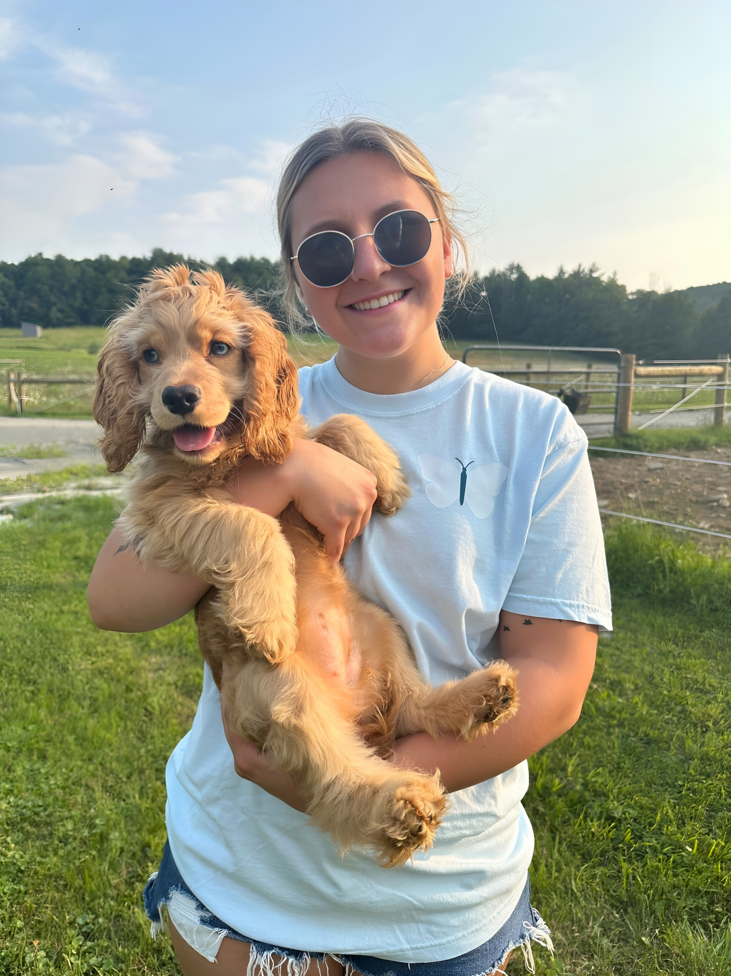 Sunshine Doggy T-Shirt